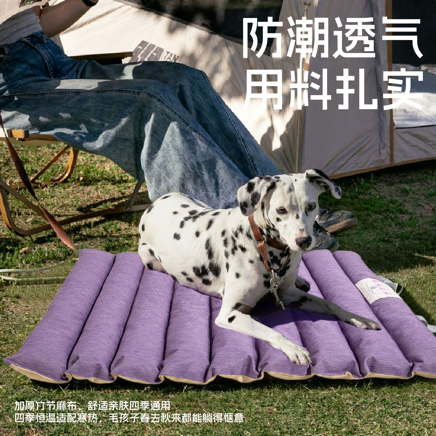 宠物四季睡垫不沾毛猫狗窝耐抓耐咬冬季保温狗垫可折叠随行垫