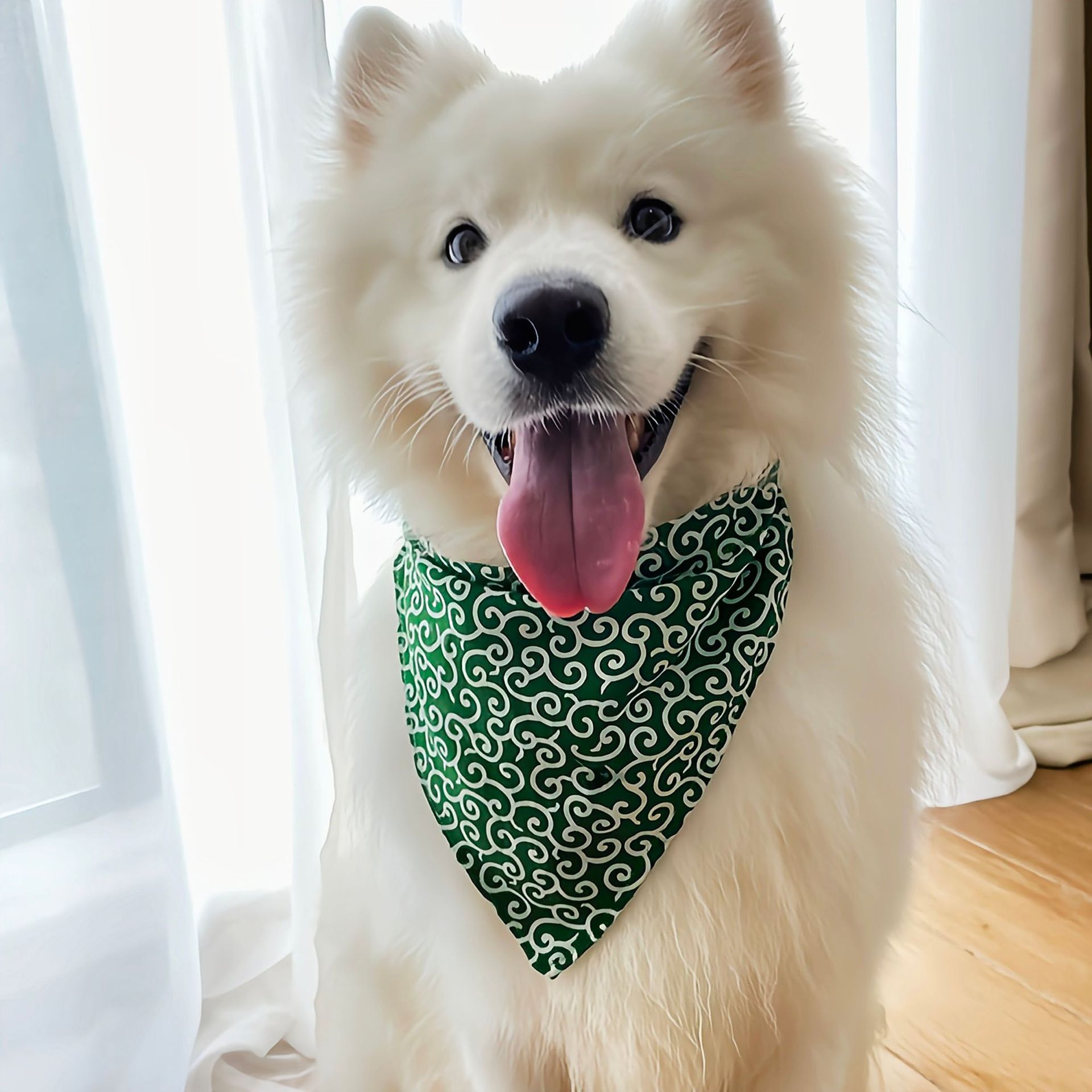 Rongka Pet Cross-border New Japanese-style Tanggrass-patterned wipes, pet cat and dog accessories, triangular scarves, scarves, pet scarf supplies wholesale Application Scenario