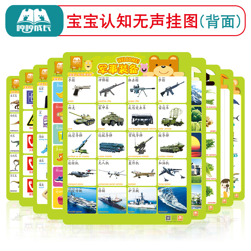 玩具挂图/认知卡实物图