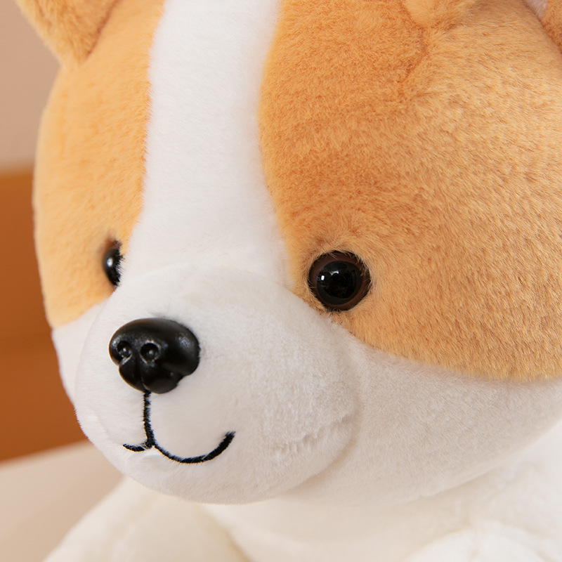 狗狗玩具实物图