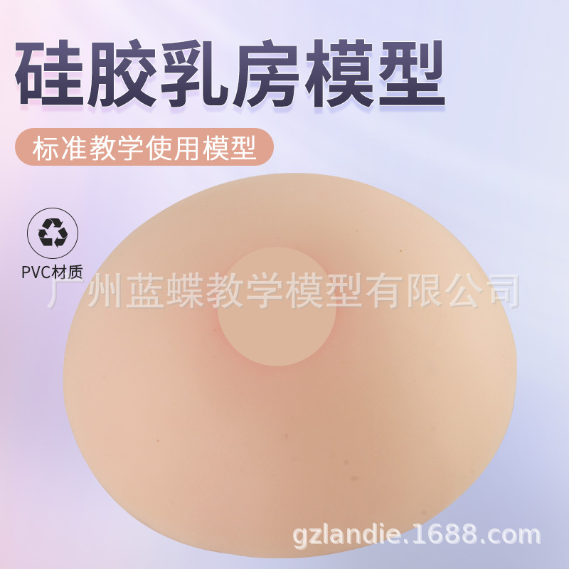 催乳师培训医学用软硅胶假家政技校医院示范教学模型教具