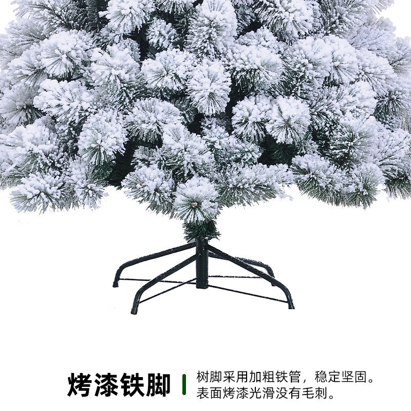 圣诞树实物图