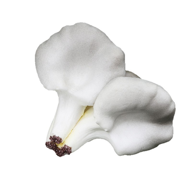 串花藤吊/食玩摆件对对碰/仿真水果吊坠/台球杆巧克粉/毛线钥匙扣白底实物图