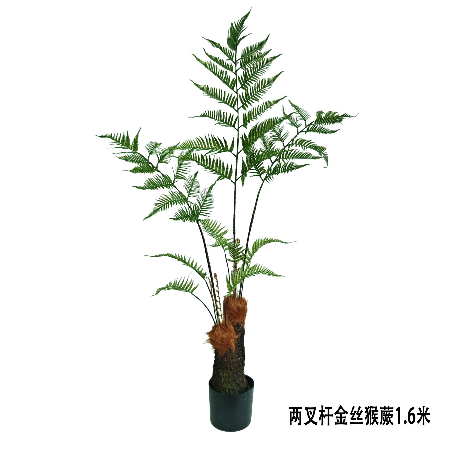 Simulated golden monkey fern, potted golden dog fern, one-leaf Persian grass, artificial tree, Chinese-style indoor Zen-inspired landscape details Picture