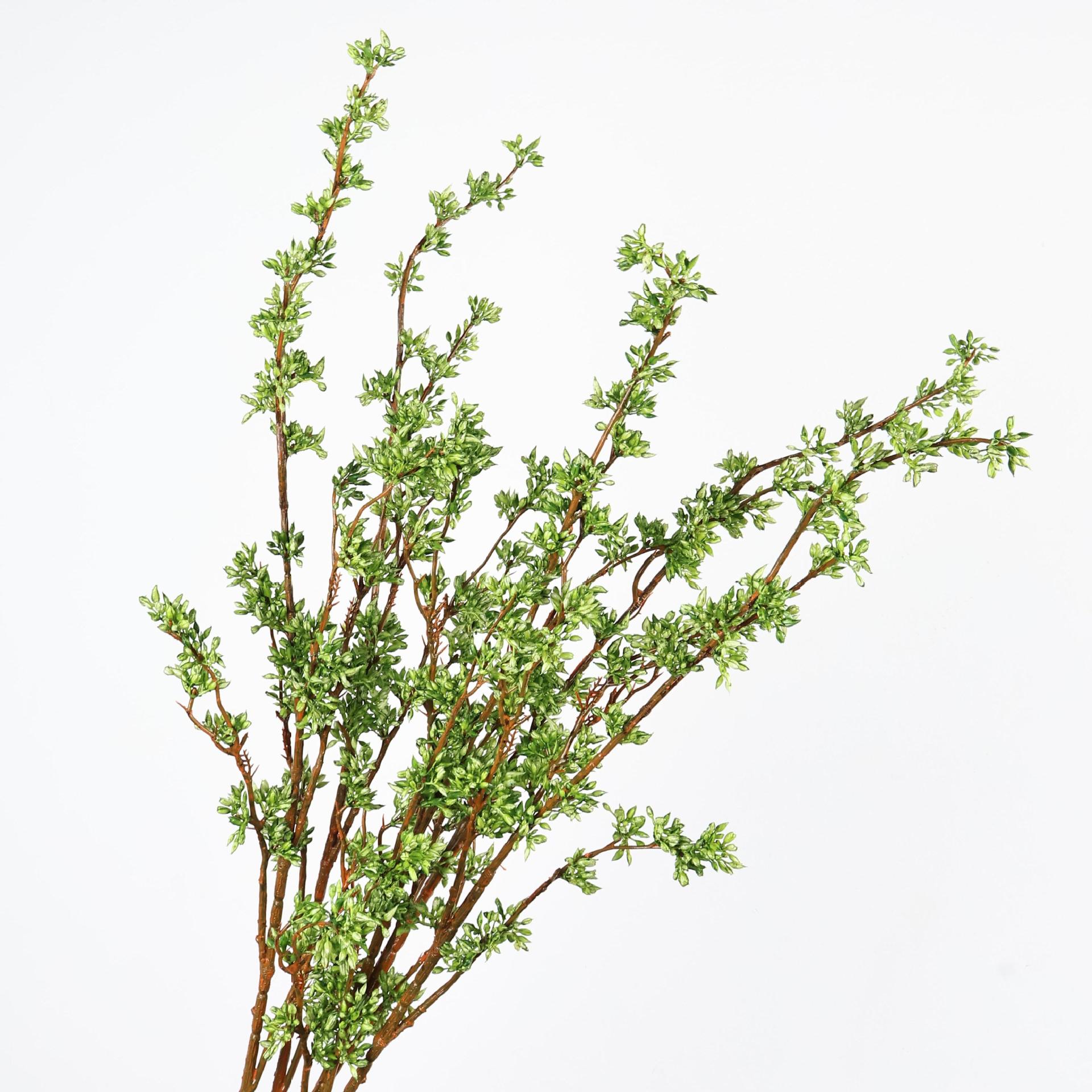 仿真小米果米仔兰插花配材米兰果家居客厅花艺装饰果子枝雪樱果细节图