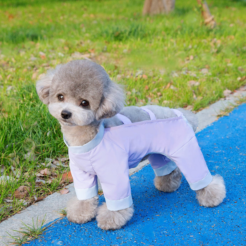 Dog dust-proof pants, walking pants, spring and summer anti-dirt and anti-insect light four-leg pants, leg guards, small dog spring and summer clothes details Picture