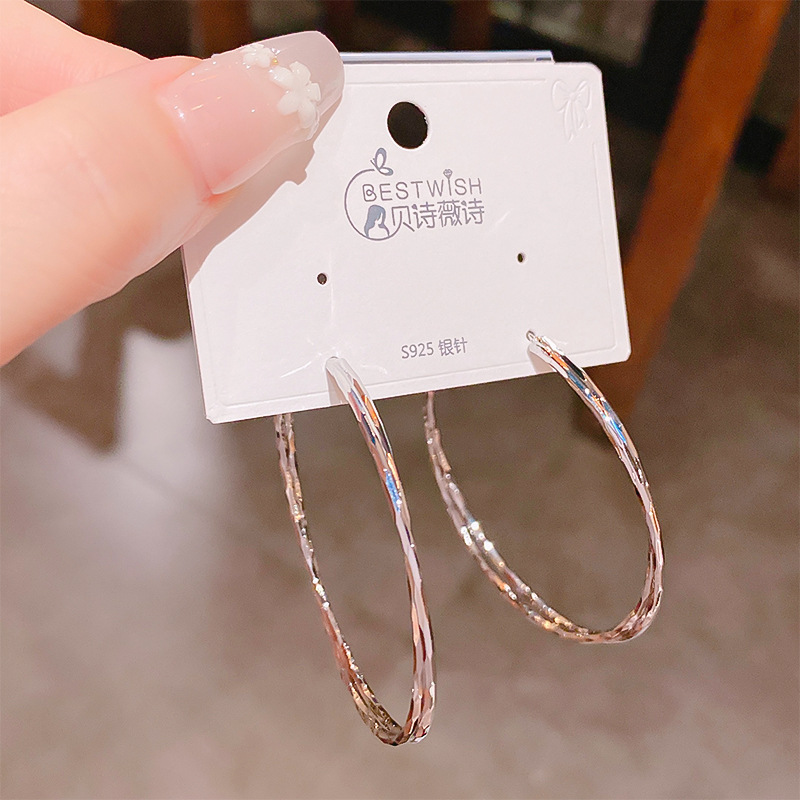 2025新品双圈极简风圈圈ins风耳环韩版气质高级感潮流大耳环女细节图