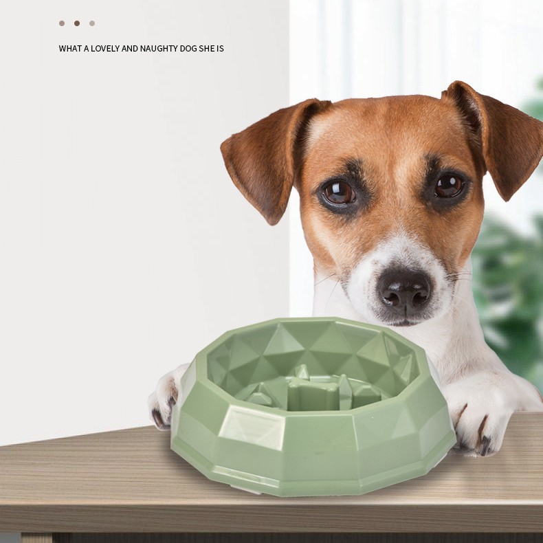 Rongka Pet Cross-border Pet Cat and Dog anti-choking and anti-vomiting slow Food Bowl, multi-color small and medium-sized dog feeder, Diamond bowl, slow food bowl
