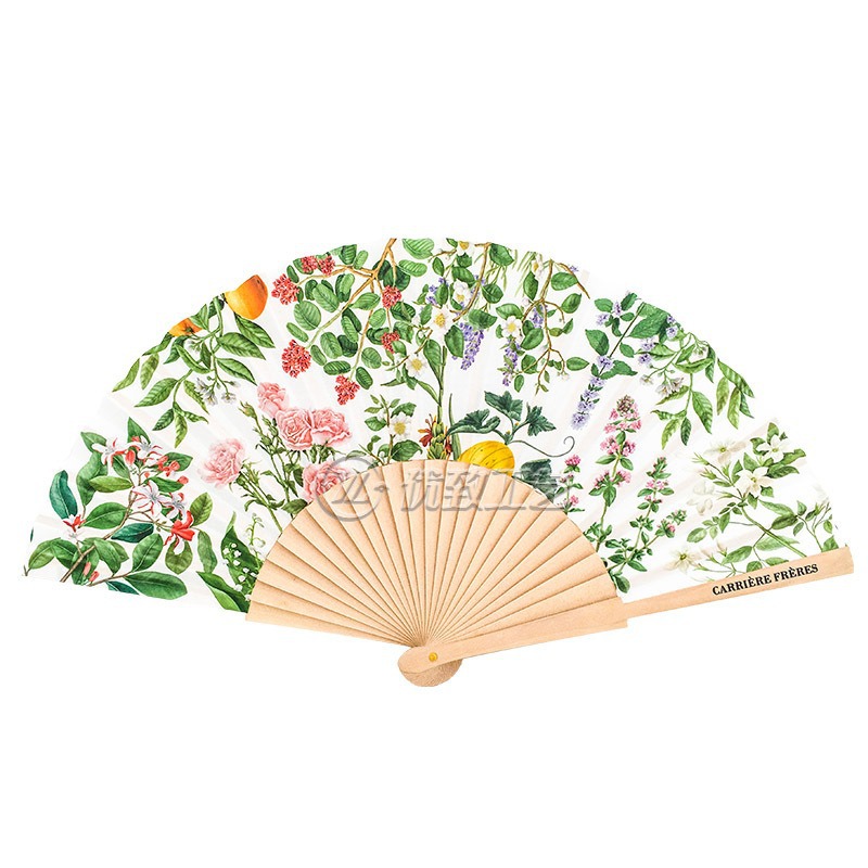 import白底实物图