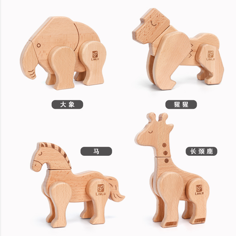 动植物/仿真模型实物图