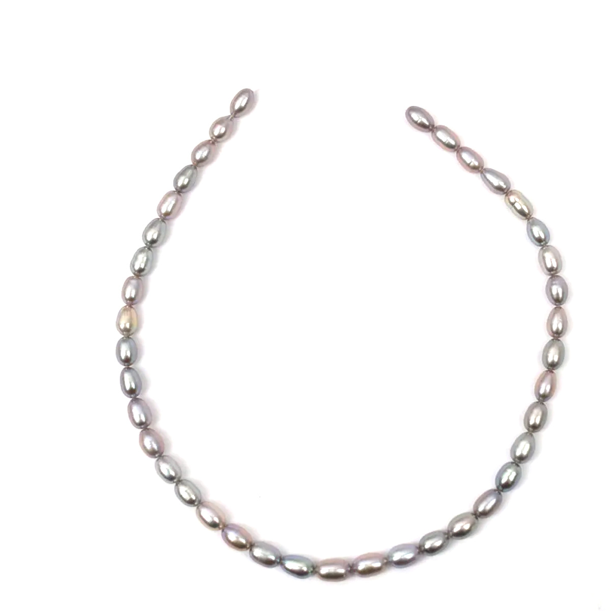 import白底实物图