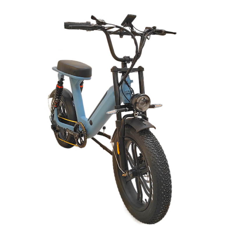 Design electric bicycles to assist mountain bikes, snow folding electric bicycles, and dual-drive electric bicycles Item Picture