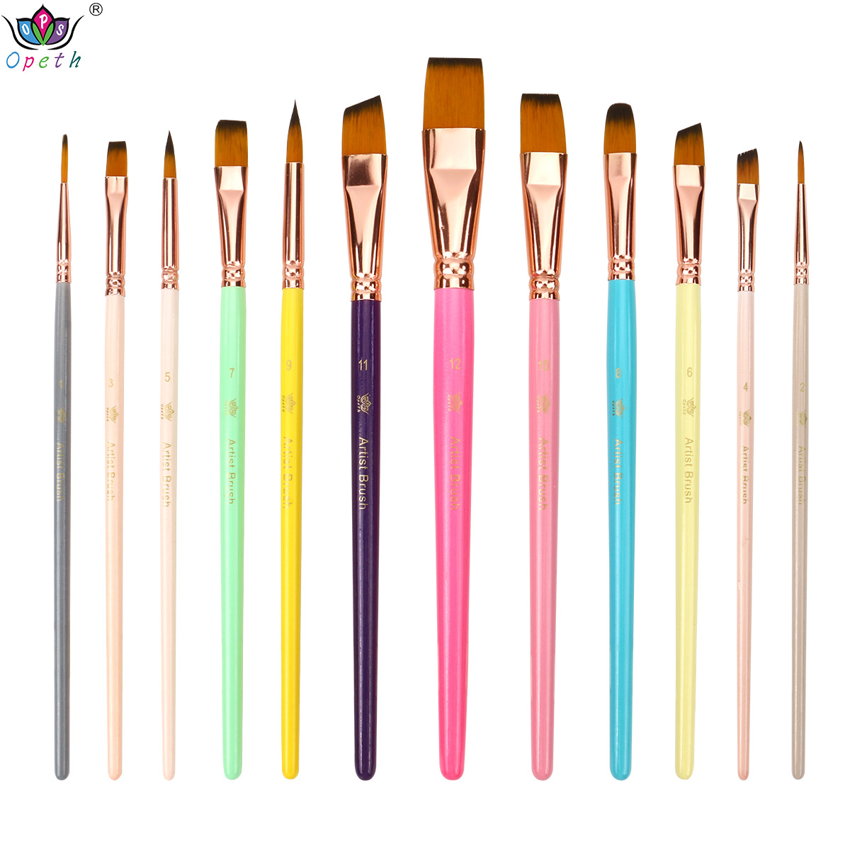A set of 12 colored nylon brushes mixed with art supplies, including beginner's painting, wall painting paint, board brushes and brushes Item Picture