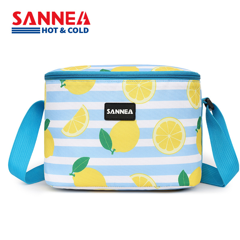 SAN Neng's new 6L insulated bag, Amazon cross-border lunch box bag, portable ice pack, outdoor picnic insulated bag details Picture