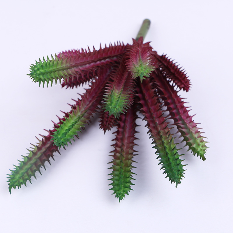 防真插花/多肉仿真花/仿真花/微景观手工苔藓批发/针织花白底实物图