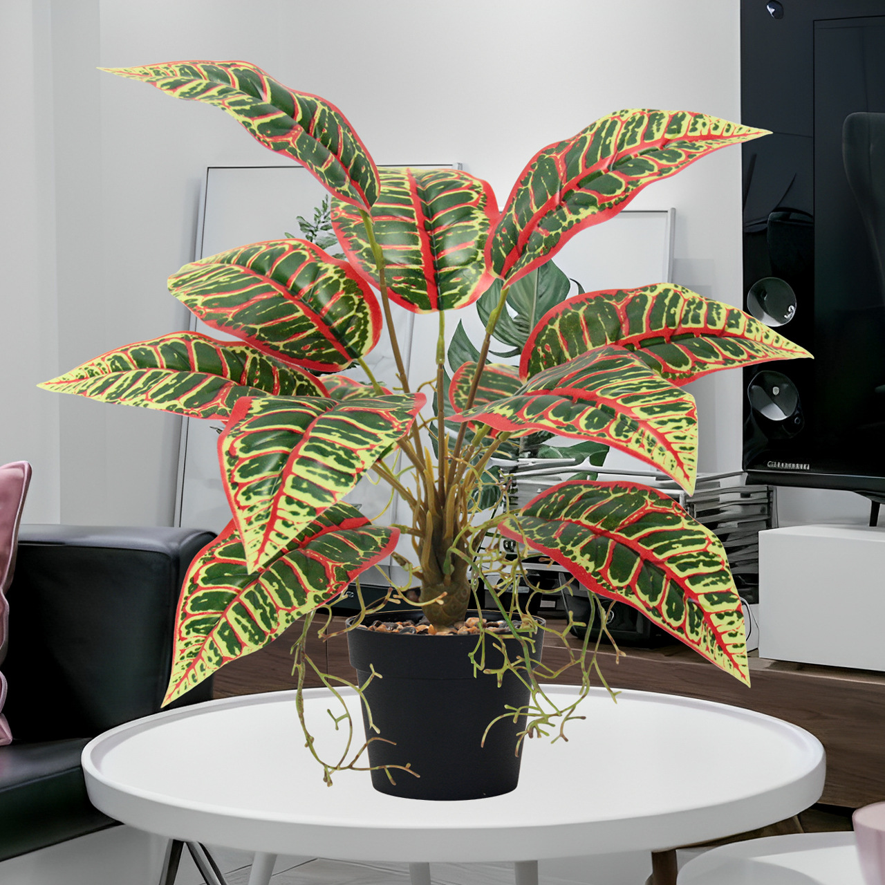 Indoor ornamental small potted plants with green leaves and red edges, succulents, flowers and green plants