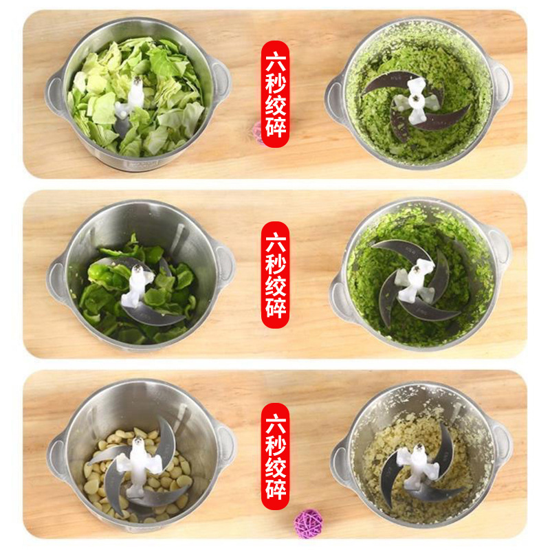 110V European and British standard 2L, 3L blender, small stainless steel electric garlic grinder, household meat grinder Application Scenario