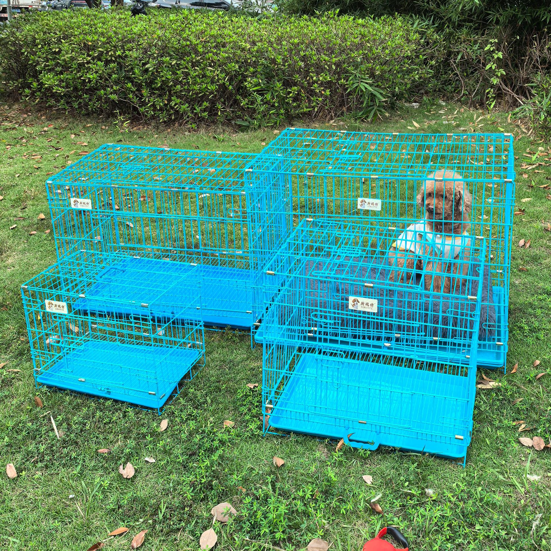 Thickened wire pet cage, dog cage, teddy foldable pet cage, thickened cat cage, medium and small-sized dog cage with skylight tray Application Scenario