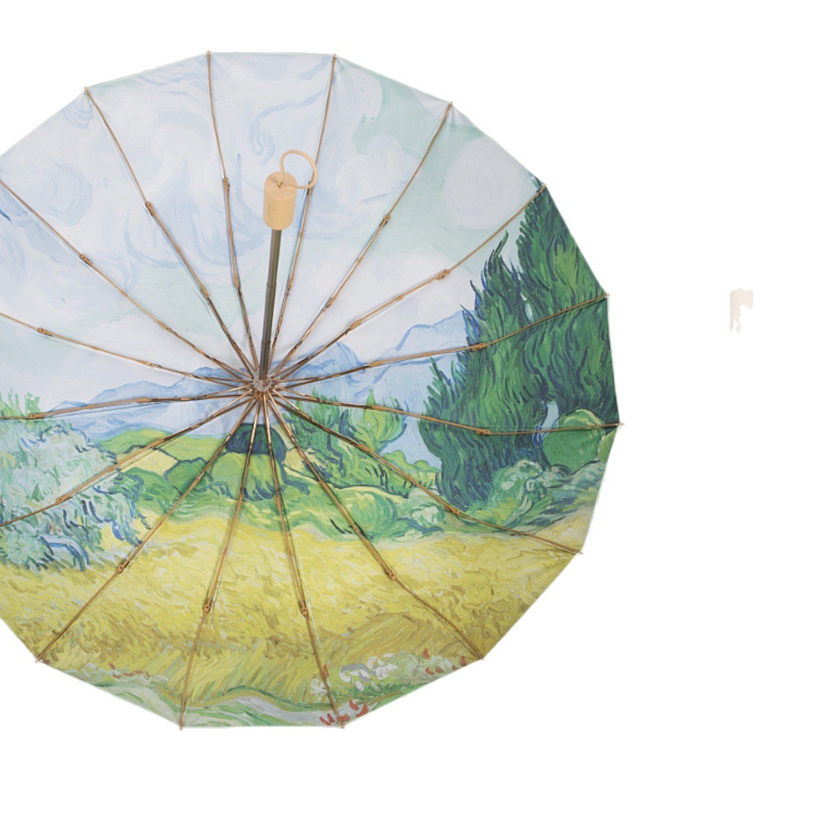 雨伞/长柄伞色丁/24骨雨伞定制/一次性雨伞/雨伞礼品白底实物图