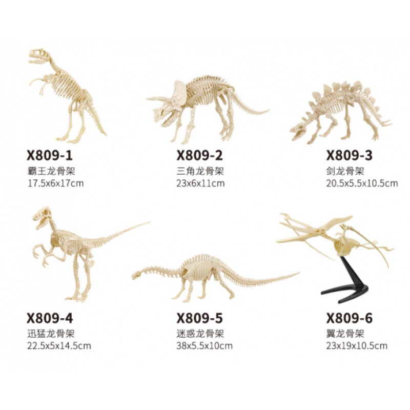 热卖石膏考古挖掘仿真恐龙骨架六款DIY拆装拼装益智动手认知模型细节图