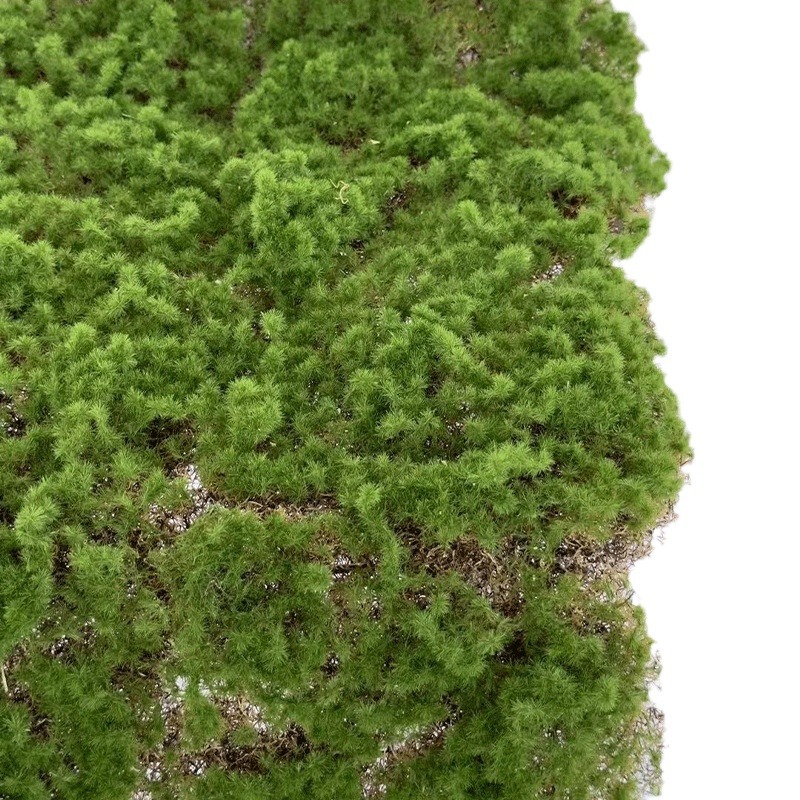 人造仿真树/小盆栽/仿真竹子/仿真花/仿真植物白底实物图