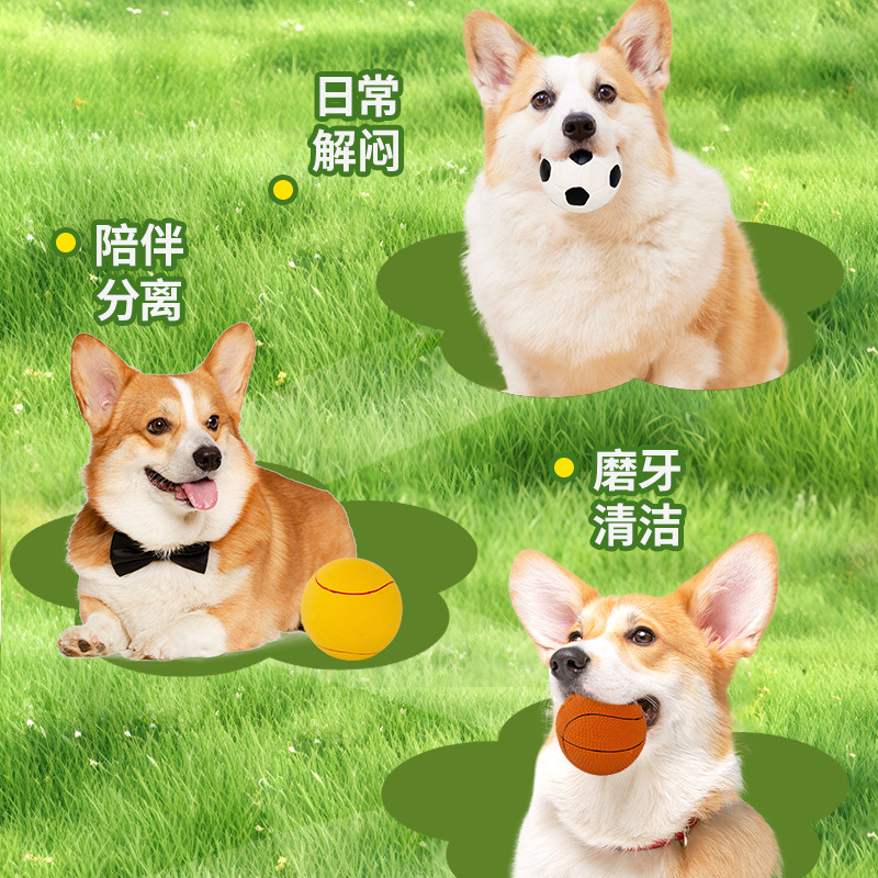 Wholesale of pet toy balls, football balls, basketball simulation mini balls, tennis balls, interactive training toys and elastic balls Specification image
