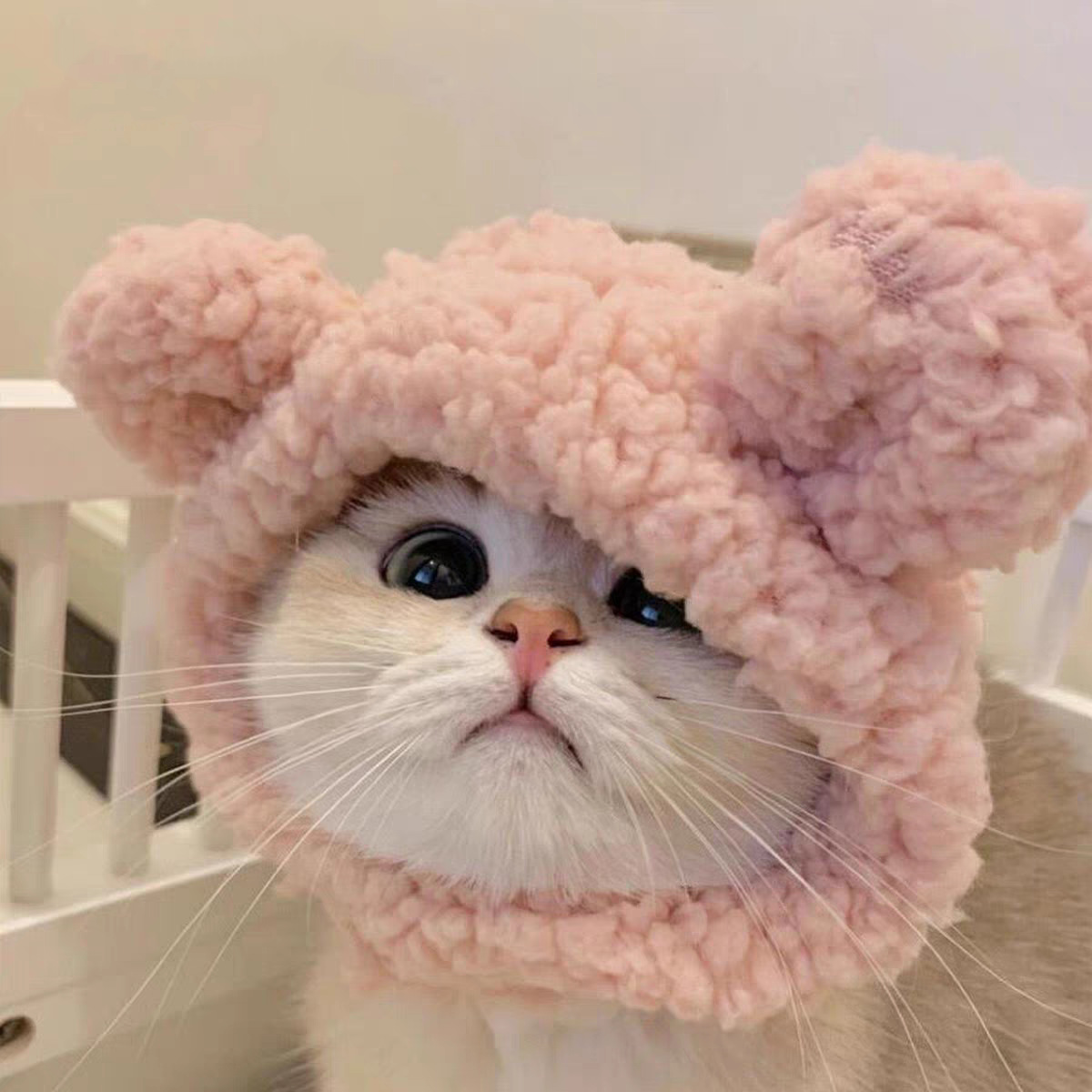 跨境宠物帽子装饰头套毛绒变装小狗狗猫咪比熊可爱拍照头饰搞怪白底实物图