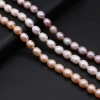 Natural freshwater pearl rice-shaped pearl DIY jewelry accessories, handcrafted jewelry necklaces production and wholesale details Picture