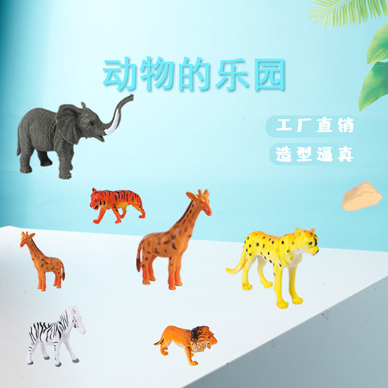 动植物/仿真模型实物图