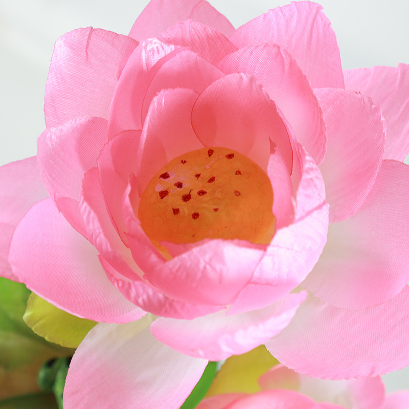 仿真植物实物图