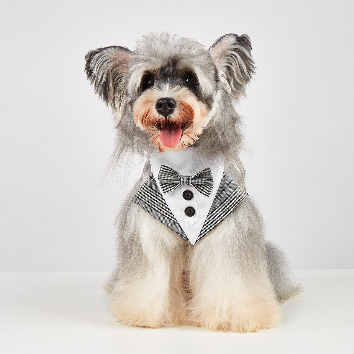 Cross-border checkered suits, pet clothing, pet suit vests, cool and fashionable pet wedding suits, triangular scarves details Picture