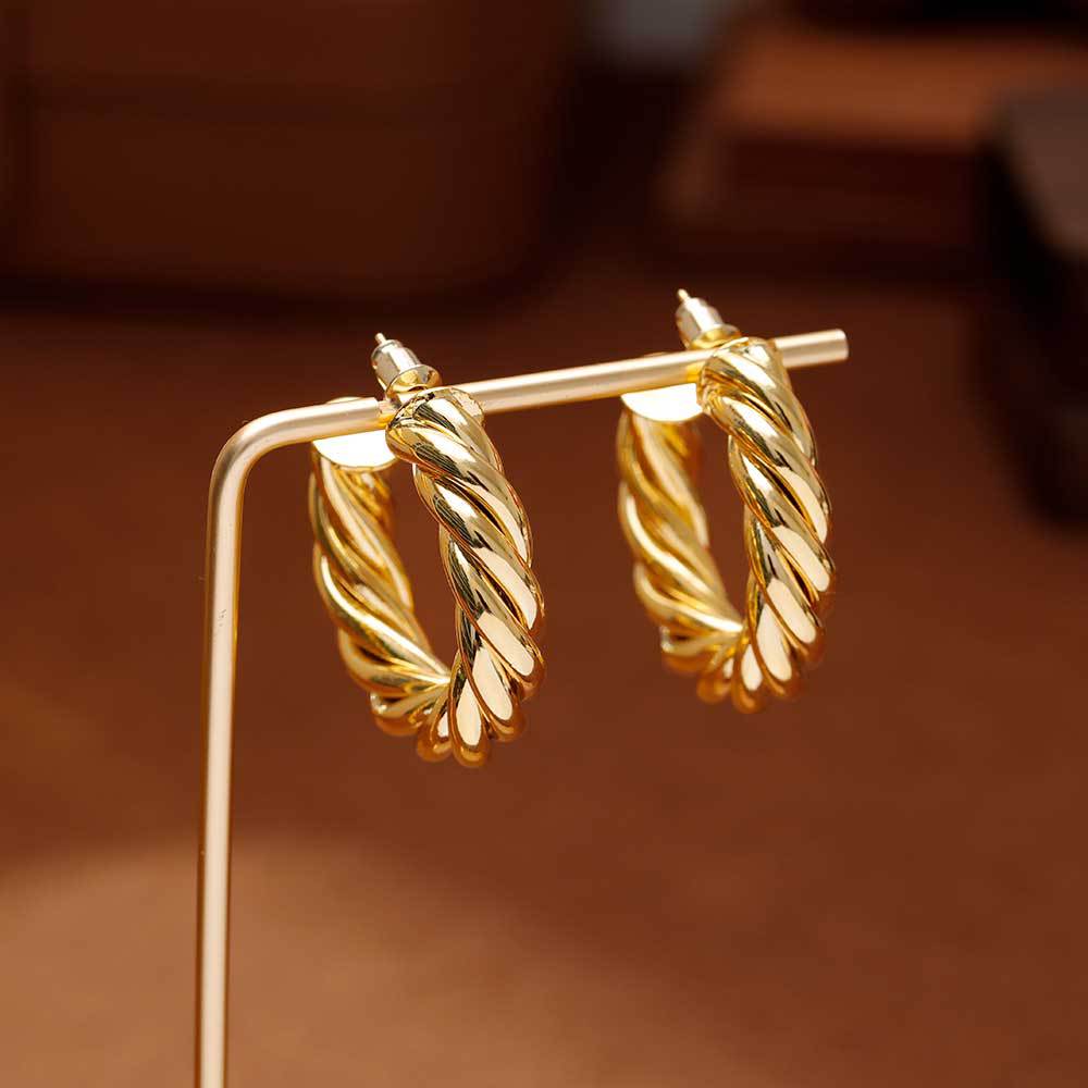 Hyacinth moda europea y americana personalidad temperamento moda orejeras minimalistas pendientes de aro de metal industria pesada alto grado sentido orejeras de oro Application Scenario