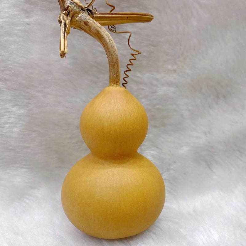 2026 New Natural gourd Fine cultural playthings, hand-twisted small gourd handicrafts, wholesale from American gourd manufacturers Application Scenario