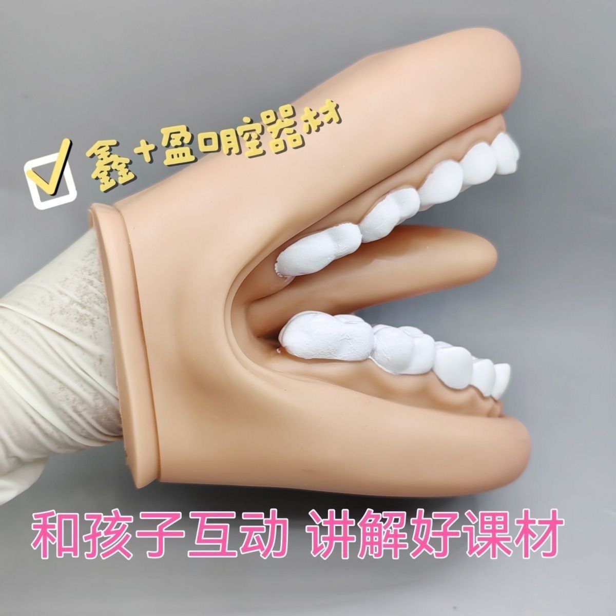 Dental model, oral teaching, dental simulation teaching AIDS, kindergarten brushing, medical children's pronunciation demonstration, handheld details Picture