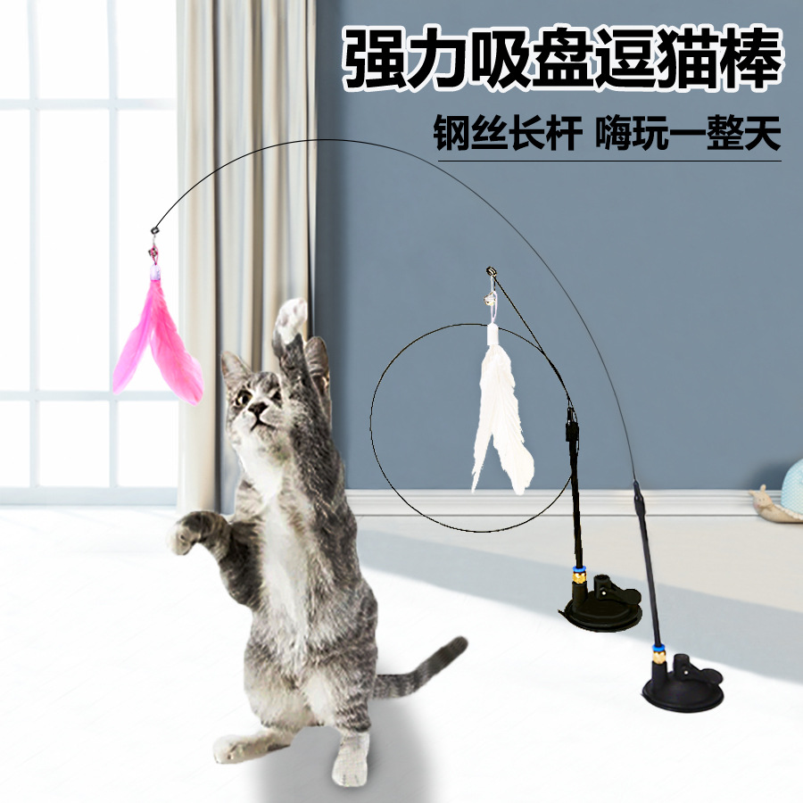 强力吸盘逗猫棒钢丝长杆羽毛猫玩具自嗨解闷耐咬逗猫神器宠物玩具图