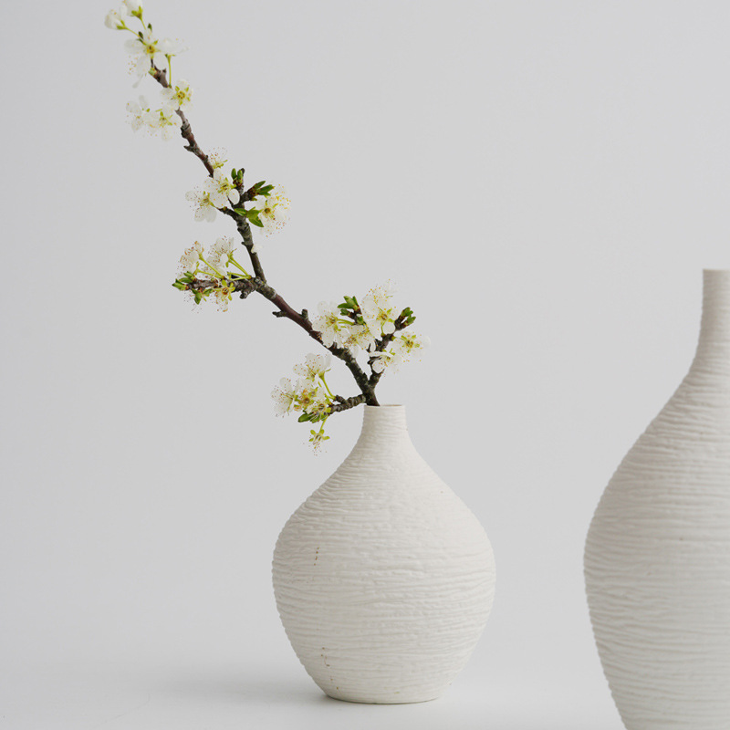 2025 Craft Vase, a modern style decoration for hotels and homes, with a small white spout and a popular cross-border decorative vase Application Scenario