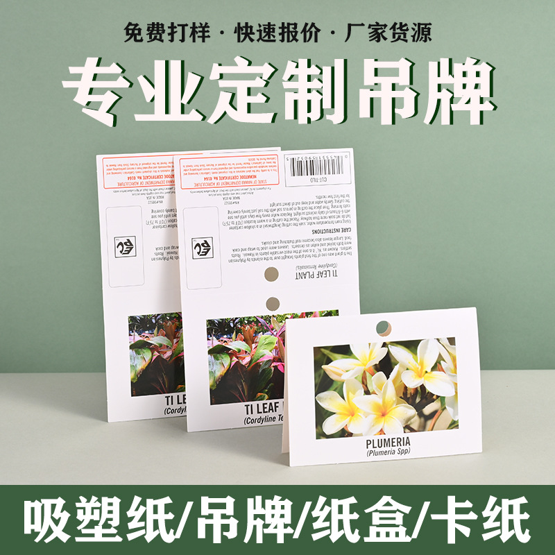 Folded paper card packaging, color card paper packaging, card head customization, tag printing, blister paper, pvc card back, airplane paper