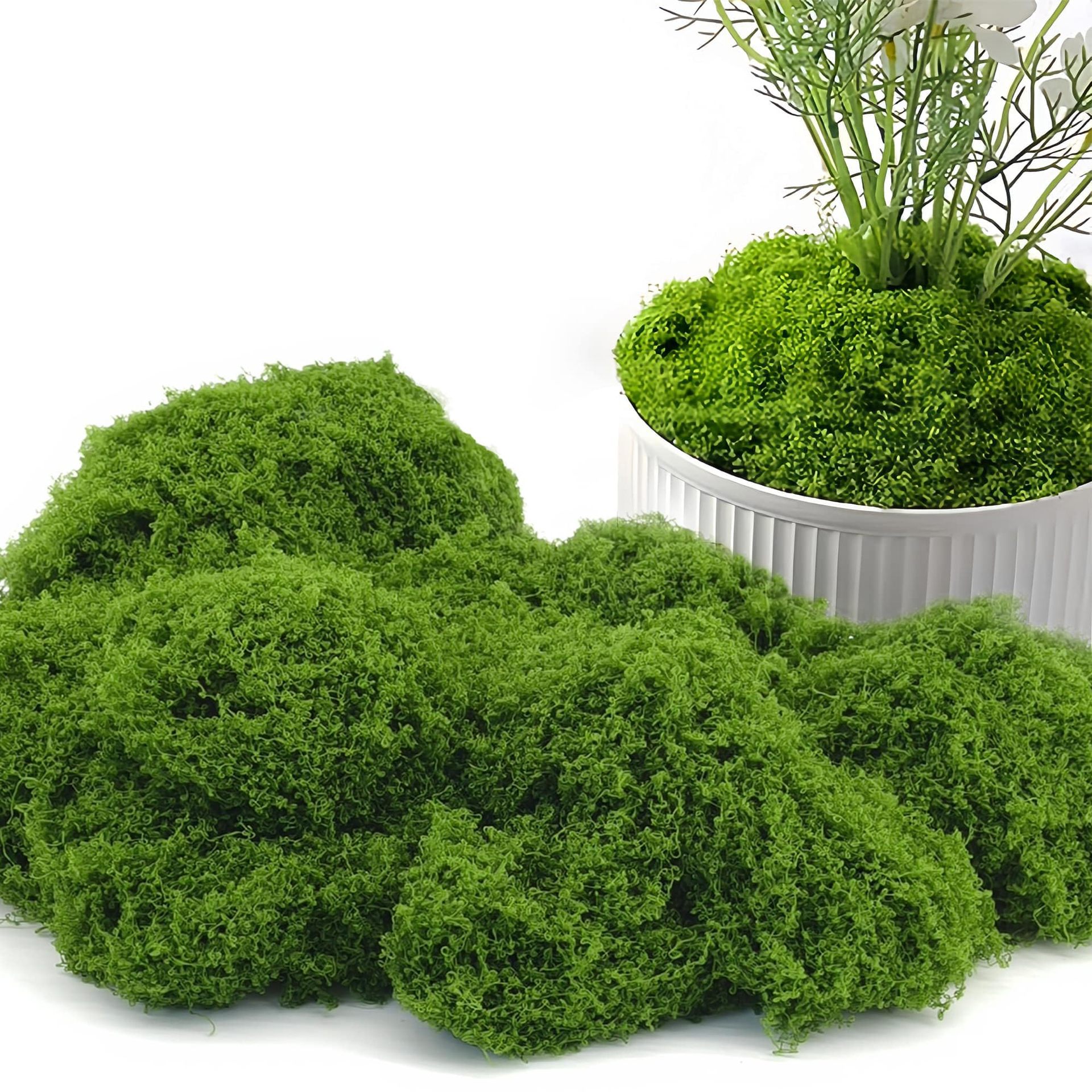 跨境30g小包装仿真苔藓人造假青苔仿真羊毛藓DIY微景观造景绿植