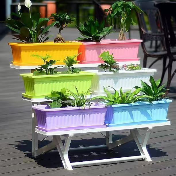 水培植物瓶、生态瓶实物图