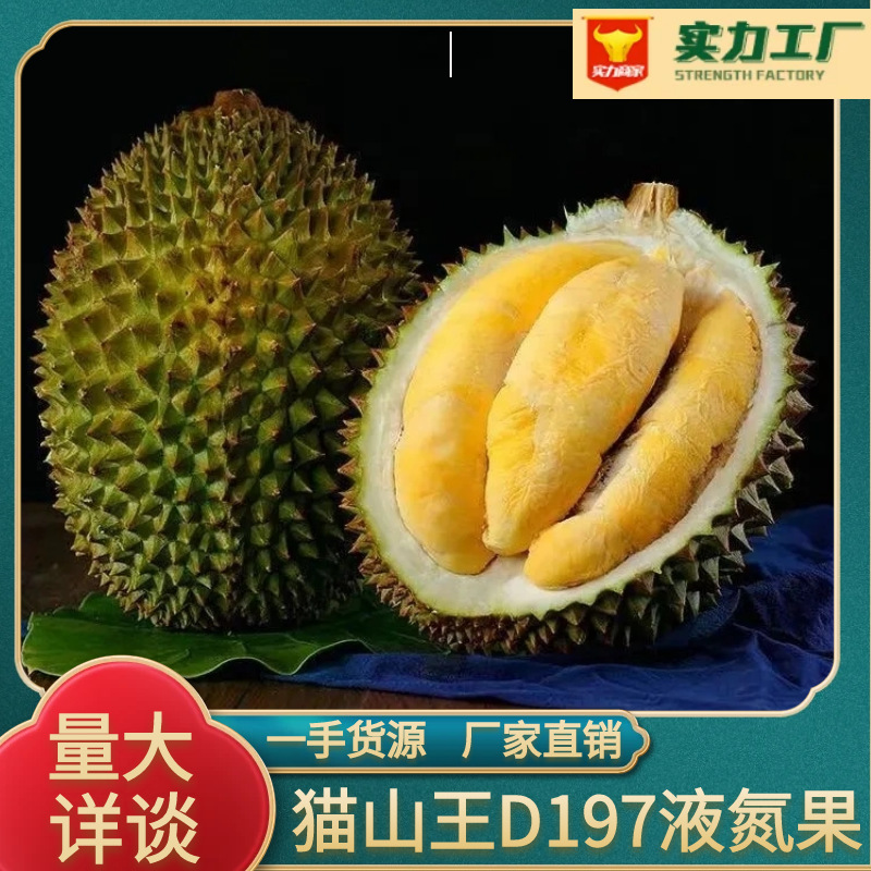 正宗猫山王榴莲d197液氮冷冻保鲜当季带壳整果榴莲新鲜果源头批发