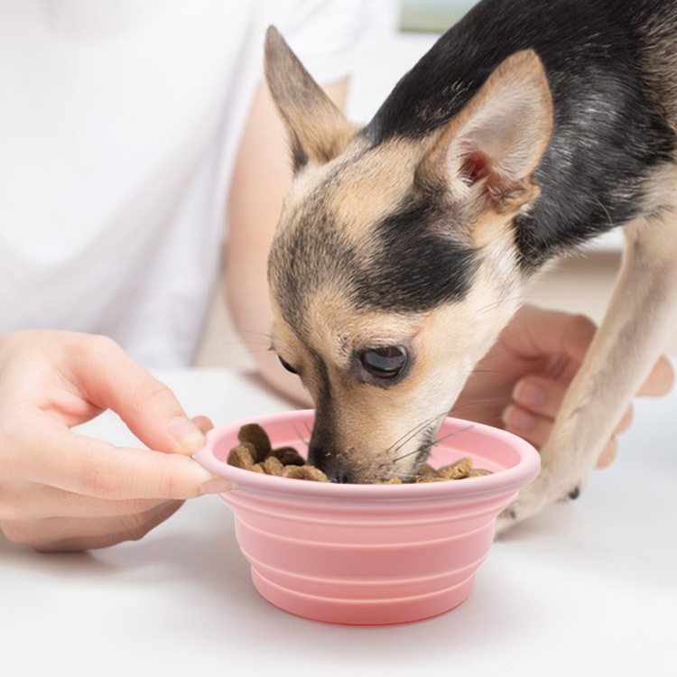 硅胶宠物折叠碗猫粮碗狗碗食盆喝水碗户外便携猫狗硅胶喂食伸缩碗细节图