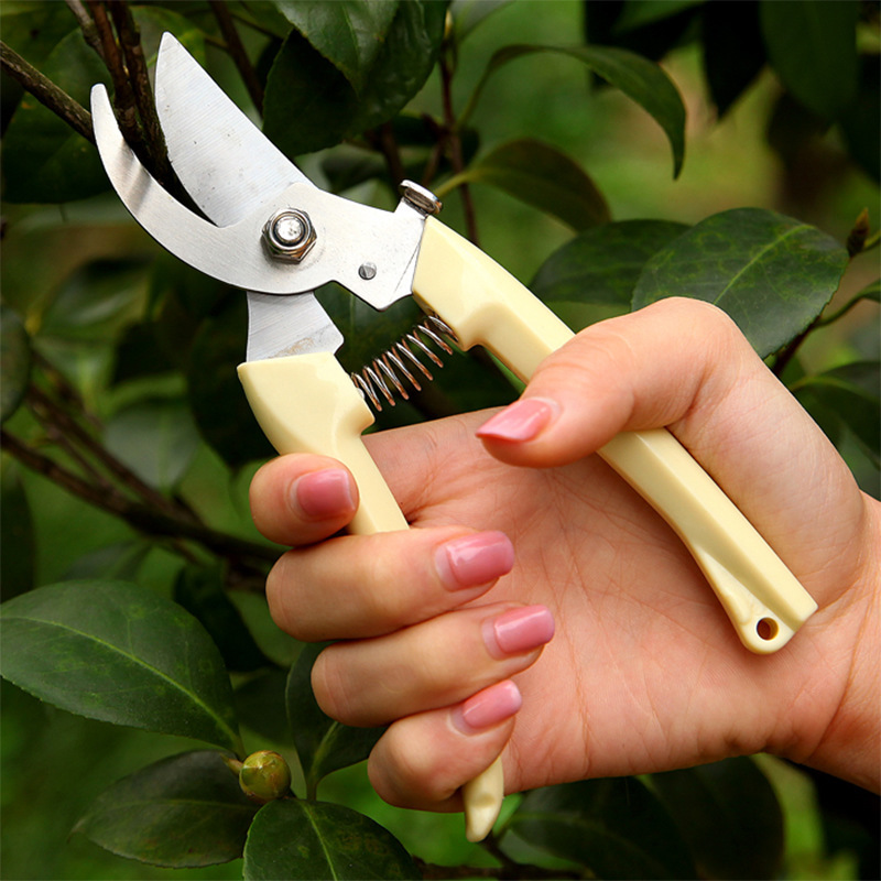 Stainless steel flower shears, pruning shears, branch shears, garden shears, thick branch shears, garden shears, fruit tree shears, hardware tools