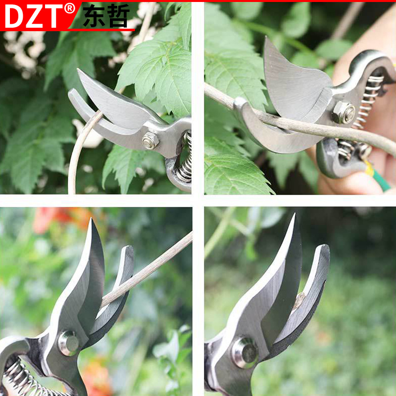 Multi-functional pruning shears, garden shears, anti-slip garden shears, flower arrangement shears, plant shears, Dongzhe hardware details Picture