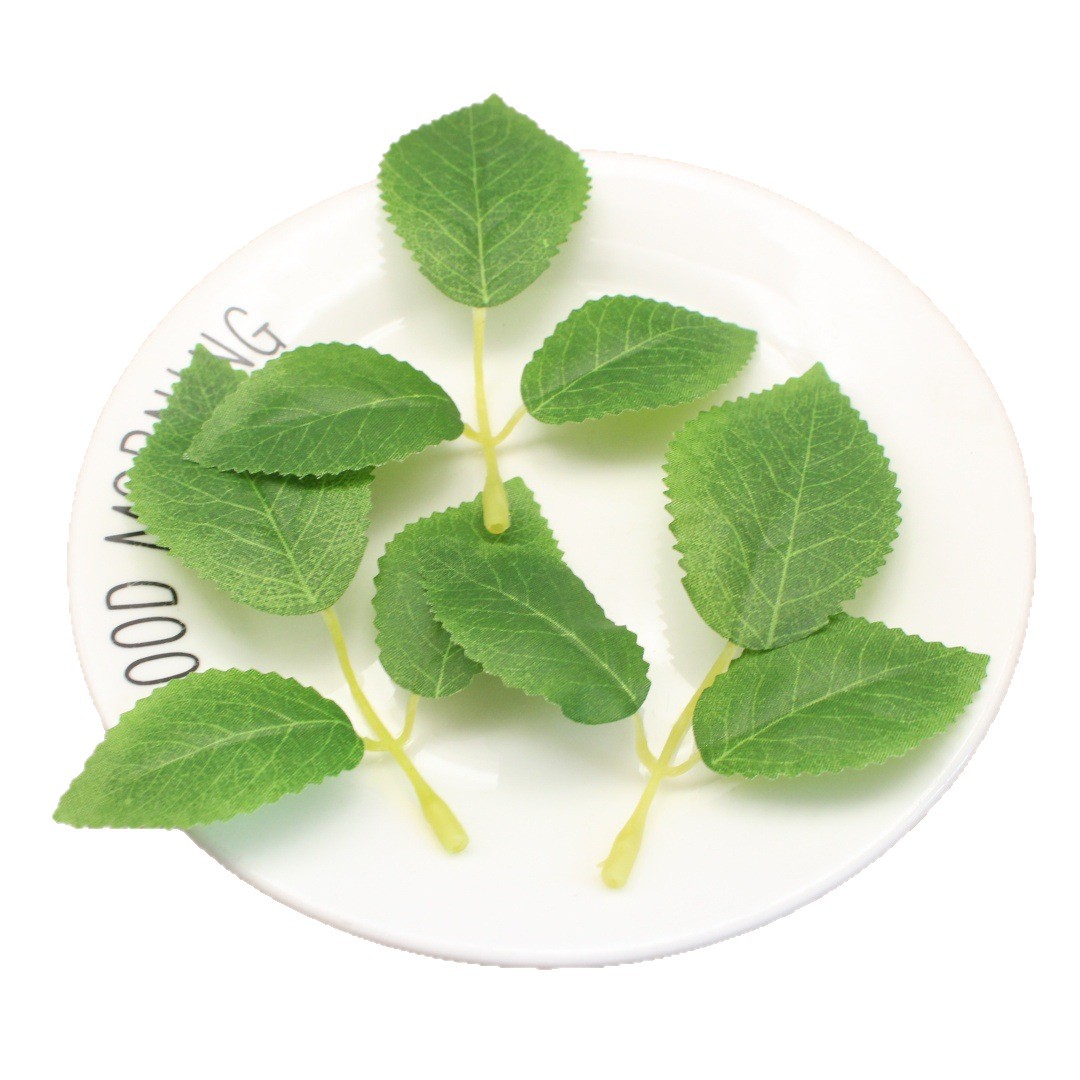 花卉白底实物图