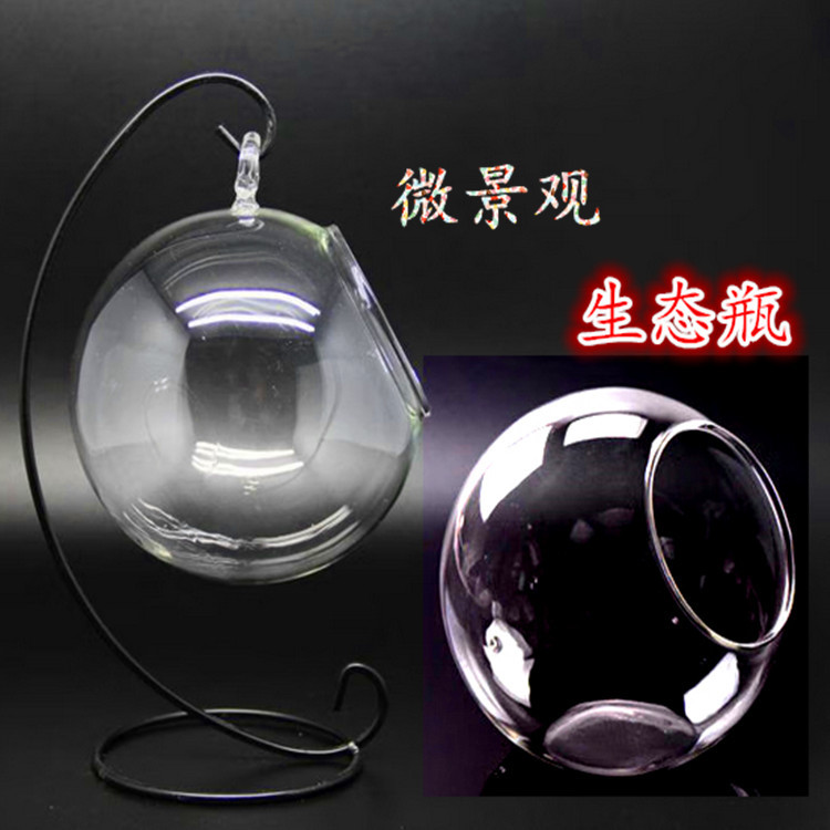Micro-landscape ecological bottle, transparent glass hanging succulent plant moss hanging bottle, diy handcrafted green plant landscape vase Application Scenario