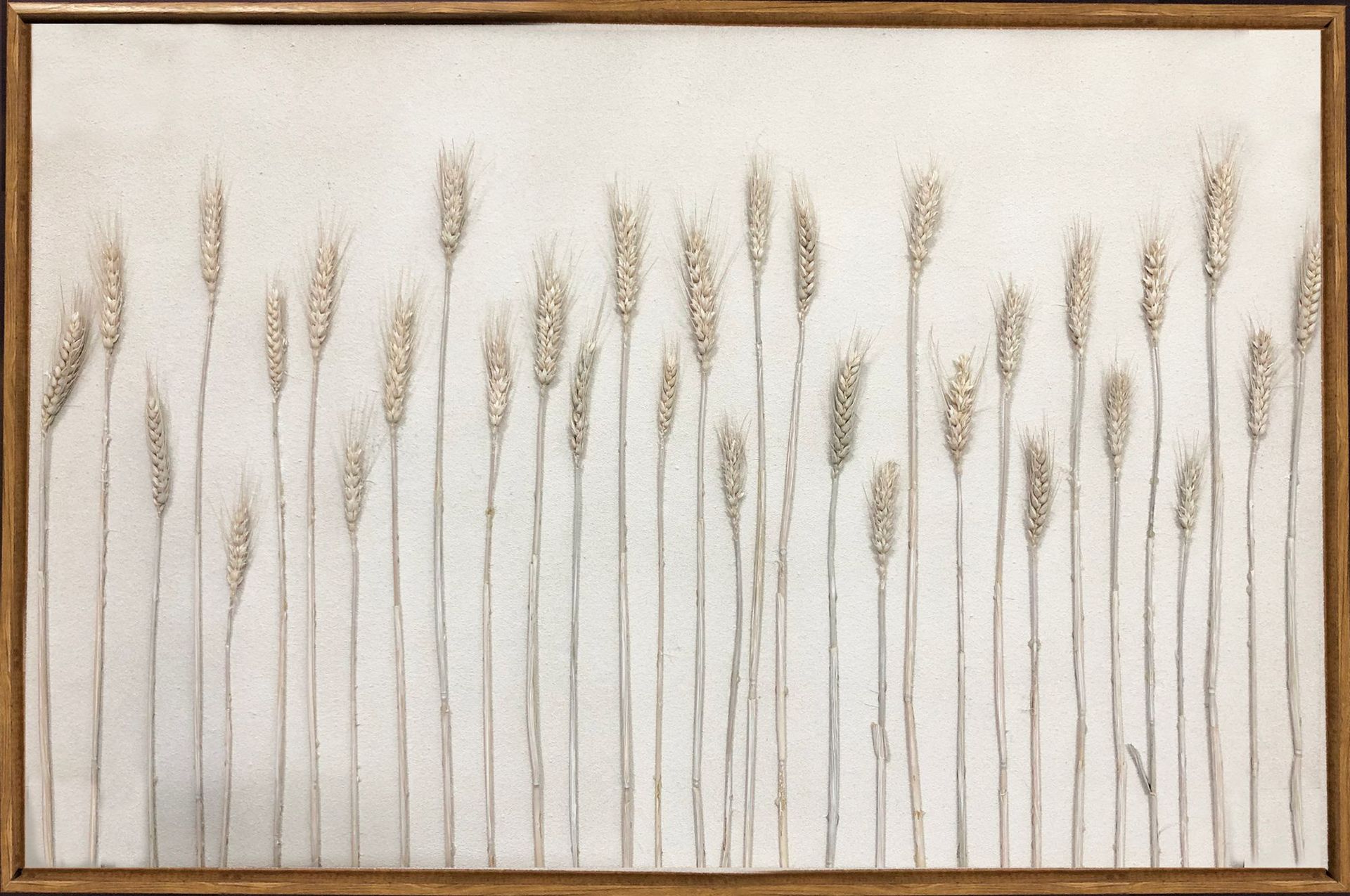 现代装饰画实物图