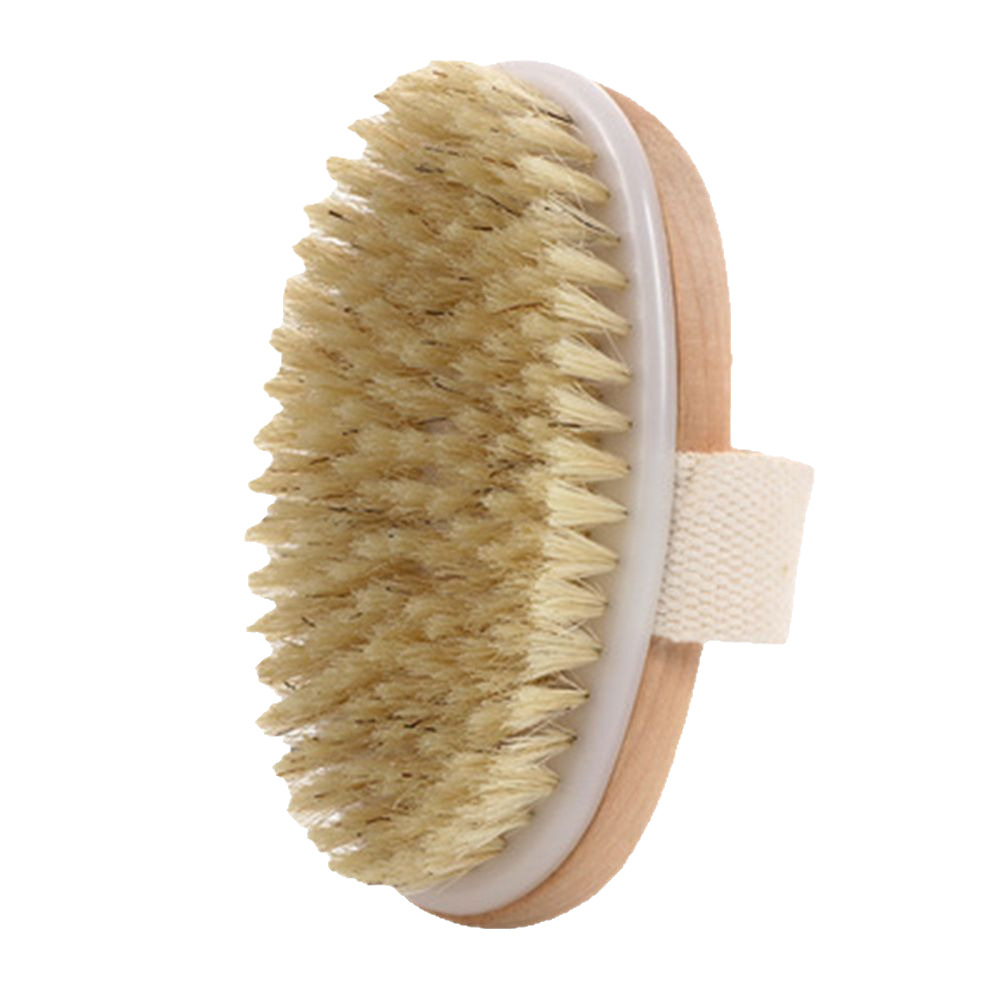 فرشاة شعر الرأس، فرشاة الاغتسال، فرشاة الاغتسال بدون ختم Item Picture