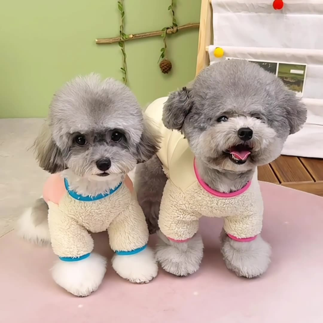 Cute autumn and winter dog, cute cartoon dog, four-legged hoodie, cat, warm fleece, 25 balloon hoodie