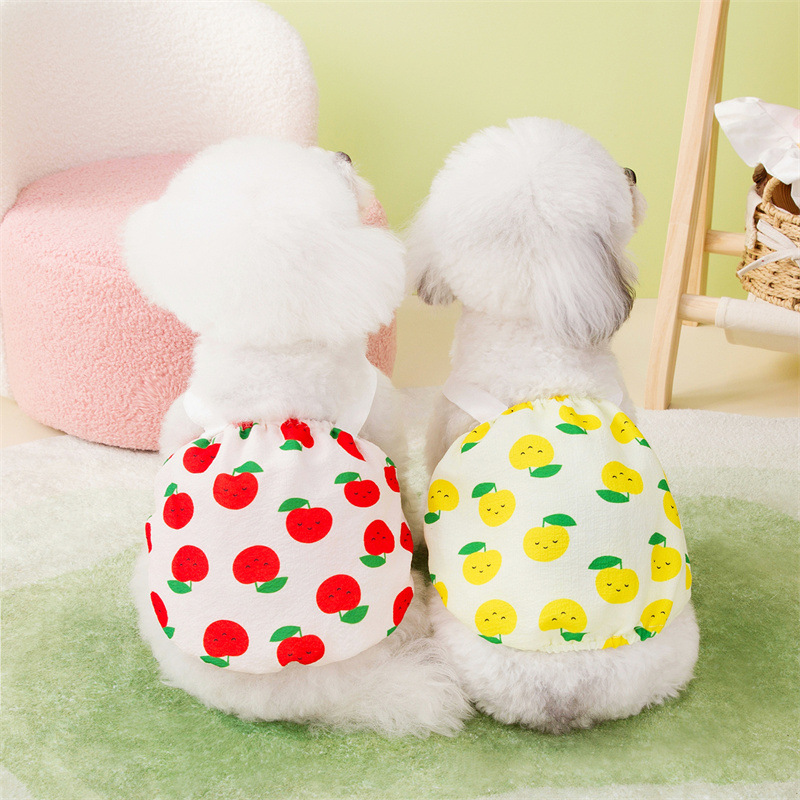 宠物裙子原厂批发春夏新款宠物狗狗猫咪裙子可爱舒适叶子水果裙