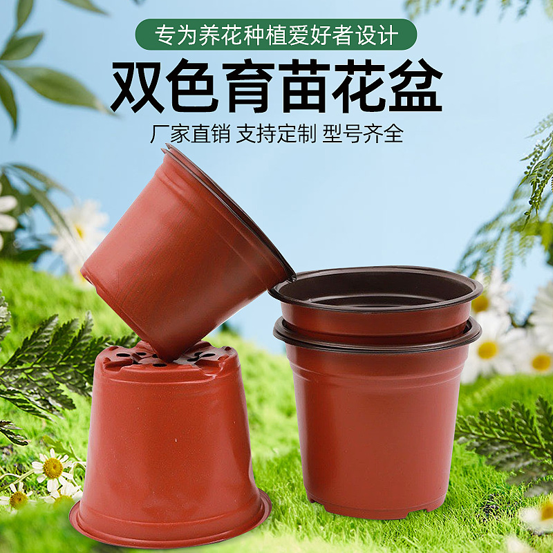 双色花盆多肉种植育苗园林软塑pe加厚营养杯营养钵一次性种植花盆